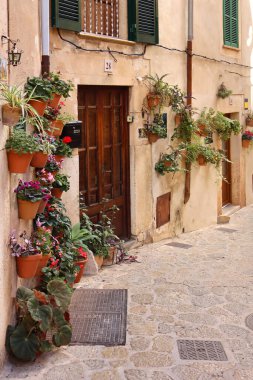 Valldemossa, Balear Adaları, İspanya 'da çiçek saksılarıyla dolu dar bir sokak.
