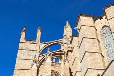 Palma, Mallorca 'daki Santa Maria Katedrali' nin (veya La Seu) bir parçası