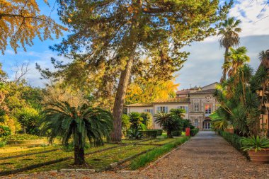 Pisa, İtalya 'da güneşli bir günde botanik bahçesi