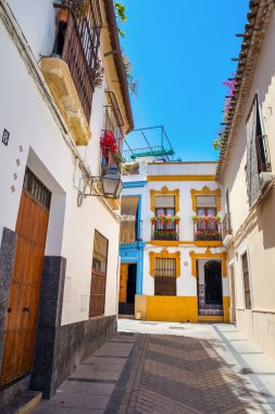 İspanya 'nın Cordoba şehrinde dar bir sokak.