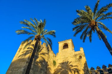 Alcazar Hıristiyan hükümdarları Cordoba, İspanya