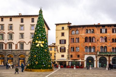 Lucca, İtalya 'daki San Michele Meydanı' nda Noel ağacı