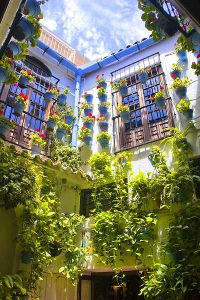 İspanya, Malaga 'da ünlü restoran barı El Pimpi' nin verandası.