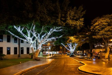 İspanya 'nın Tenerife adasındaki Los Cristianos kasabasında şenlikli ağaç ışıklandırması