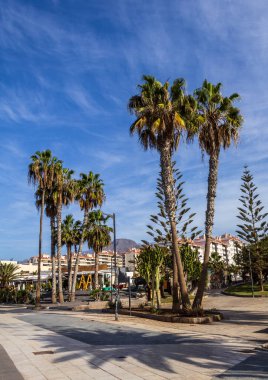 İspanya, Los Cristianos 'ta güneşli bir günde şehir manzarası