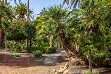 Garcia Sanabria Parkı Santa Cruz de Tenerife, İspanya