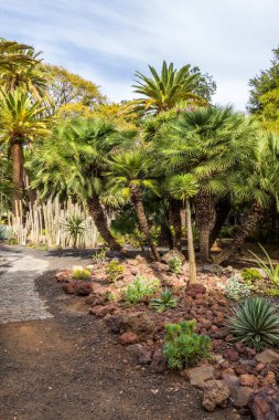 Garcia Sanabria Parkı Santa Cruz de Tenerife, İspanya