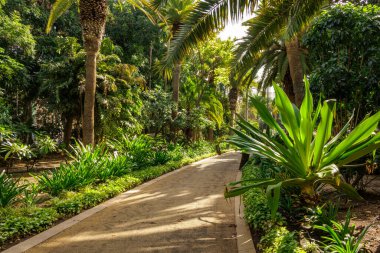 Garcia Sanabria Parkı Santa Cruz de Tenerife, İspanya