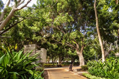 Garcia Sanabria Parkı Santa Cruz de Tenerife, İspanya