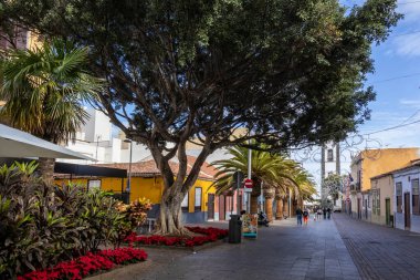 Santa Cruz de Tenerife, İspanya 'da bir sokak.