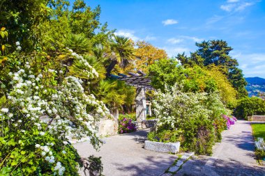 Nice, Fransa 'daki Cimiez Manastırı Bahçesi