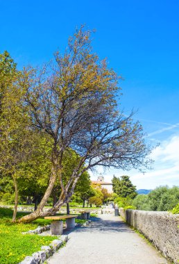 Nice, Fransa 'daki Cimiez Manastırı Bahçesi
