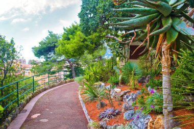 Monako, Monako-Ville 'deki Saint-Martin Bahçeleri