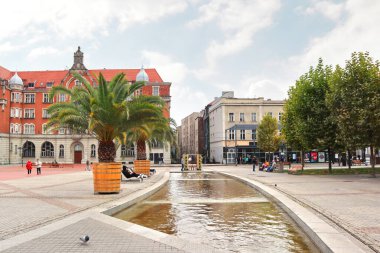 Polonya 'nın Katowice şehrinde palmiye ağaçları olan bir halk parkı.