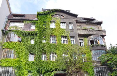 Katowice, Polonya 'da yeşil sarmaşıklı klasik gri bir bina.