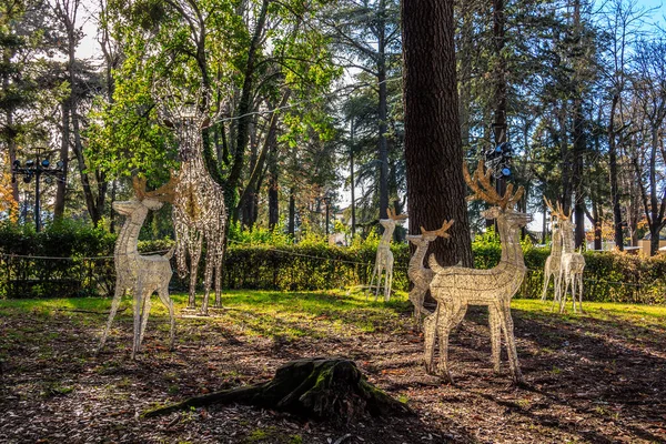 İtalya, Arezzo 'da geyikli Noel süslemesi