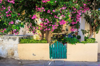 Yunanistan 'ın Girit kentindeki Rethymno şehir merkezindeki özel terasa sevimli çitler