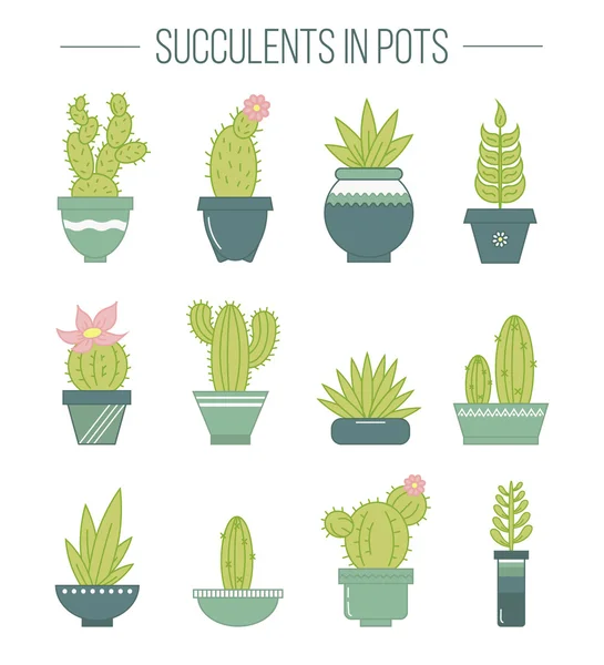 Zestaw soczystych roślin i kaktusów w doniczkach. Liniowe botaniczne v — Wektor stockowy