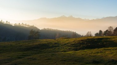 Hazy sunset in the mountains with forest in the foreground.