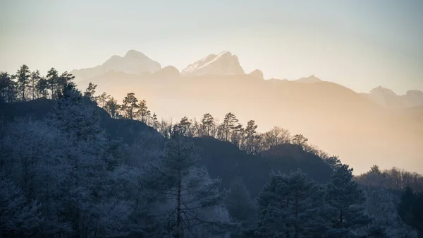 Hazy Sunset Mountains Forest Foreground — Foto de Stock