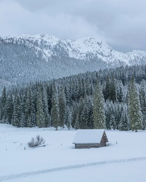 Зимове Село Темний Похмурий День Перед Сніговим Штормом — стокове фото