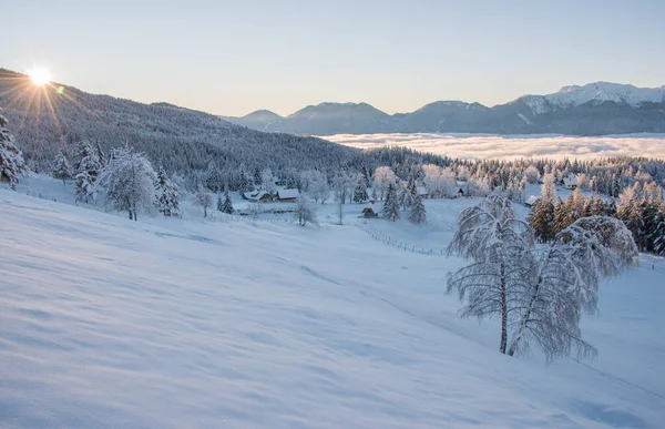 Зимовий Ліс Горах Сонячний День — стокове фото