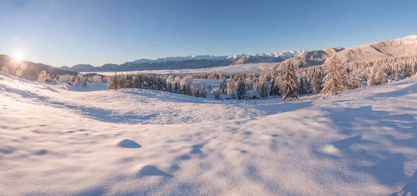 Winter Forest Mountains Sunny Day — Fotografia de Stock