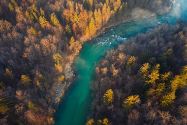 Gündoğumunda bir sonbahar ormanı ve nehrin üzerinde uçmak