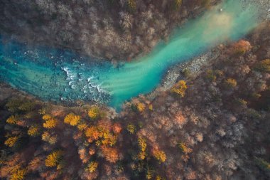 Gündoğumunda bir sonbahar ormanı ve nehrin üzerinde uçmak
