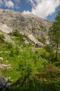 En yüksek dağın zirvesine doğru yürüyoruz.