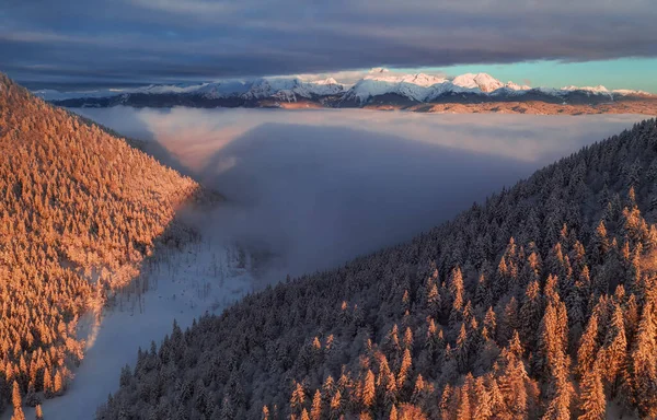 Belo Nascer Sol Inverno Nas Montanhas Acima Nevoeiro Névoa — Fotografia de Stock