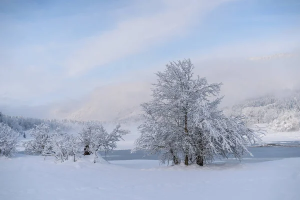 新雪後の森と山の冬の朝 — ストック写真