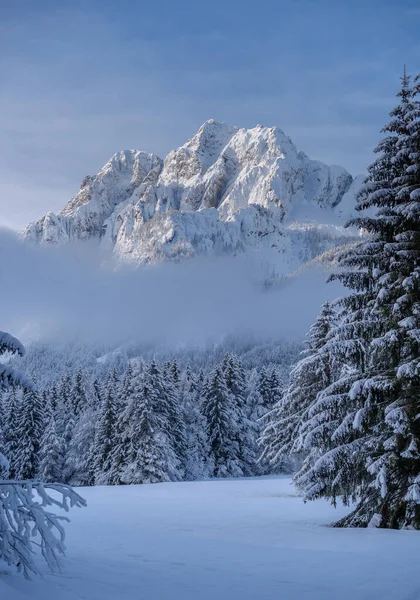 Wintermorgen Wald Und Den Bergen Nach Neuschnee — Stockfoto