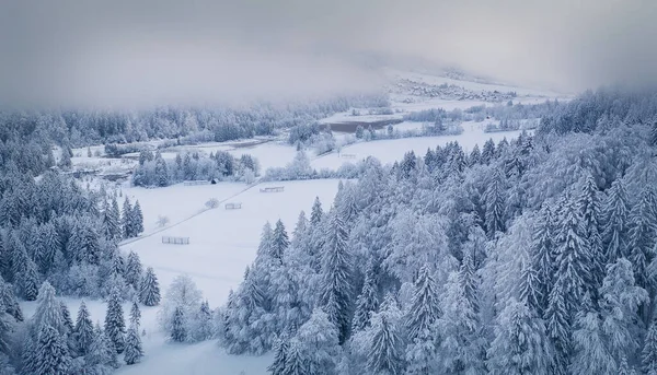 Літаючи Над Зимовим Лісом Чудовий Похмурий День Горах Юліанських Альп — стокове фото