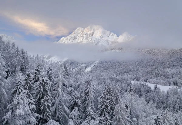 Flying Winter Forest Beautiful Moody Day Mountains Julian Alps — Stock Photo, Image