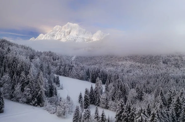 ジュリアンアルプスの山々で美しい気分の日に冬の森を飛ぶ — ストック写真