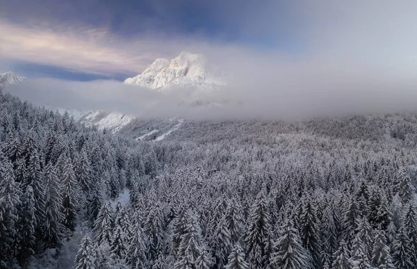 Überfliegen Eines Winterwaldes Einem Schönen Launischen Tag Den Bergen Der — Stockfoto