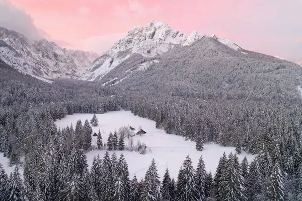 スロベニアの雪の山の中で美しい冬の日 ゼレンチ温泉の近くにあるこの自然のままの松の森の風景にハイキング — ストック写真