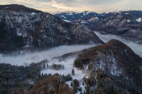 Aerial View Winter Forest Just Sunset — Stock Photo, Image