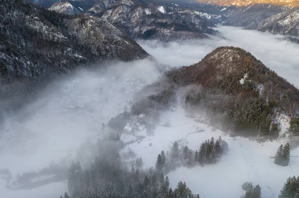 Vista Aérea Floresta Inverno Pouco Antes Pôr Sol — Fotografia de Stock