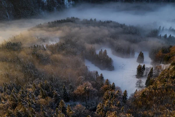 Вид Воздуха Зимний Лес Прямо Перед Закатом — стоковое фото