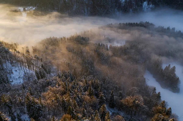 Aerial View Winter Forest Just Sunset — Stock Photo, Image
