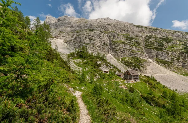En yüksek dağın zirvesine doğru yürüyoruz.