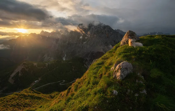 ジュリアン アルプスの朝の山の日の出 — ストック写真