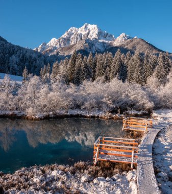 Zelenci baharı karlı bir kış sabahında