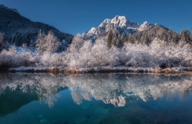 Zelenci baharı karlı bir kış sabahında