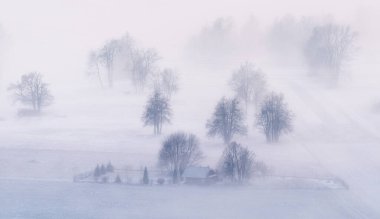 Slovenya kırsalında sisli ve kış öğleden sonra