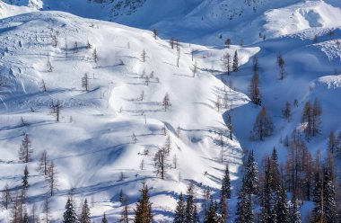 Julian Alp dağlarında kış cenneti