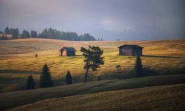 İtalyan Dolomitlerinde Alpe di Siusi