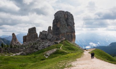 İtalyan Dolomites Dağları 'ndaki Cinque Torri ön planda güzel çiçeklerle.